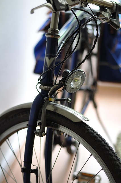 חופש על גלגלים